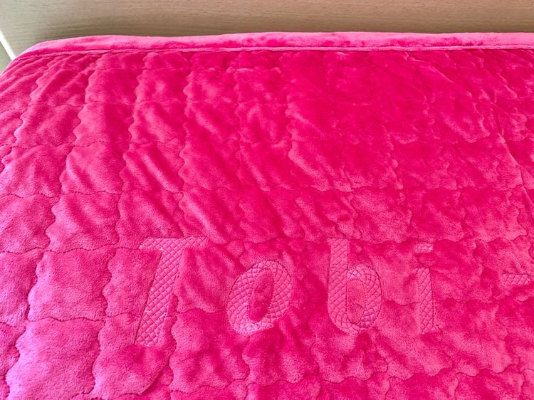 ผ้าห่ม ขนาด 3.5ฟุต สีชมพูกำมะหยี่ ด้านบนปักลายแบรนด์ Toni-Land (สภาพใหม่) มือสองสภาพดี สินค้าญี่ปุ่น-เกาหลีแท้ รูปที่ 5