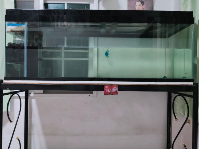 กระจก ตู้ปลา 60×20×20 (ขนย้ายเองครับผม)