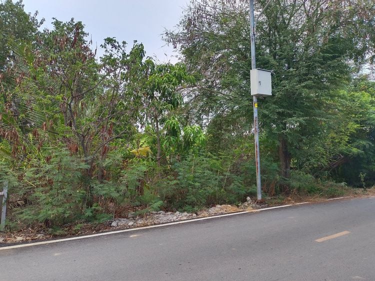 Land for sale in Bang Yai Soi Khlong Thanon 105 sq m., only 5 km from Khlong Bang Phai MRT Station. รูปที่ 1