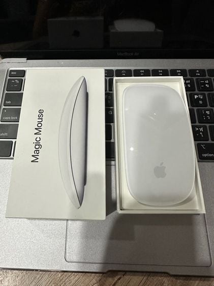Magic Mouse  รูปที่ 1