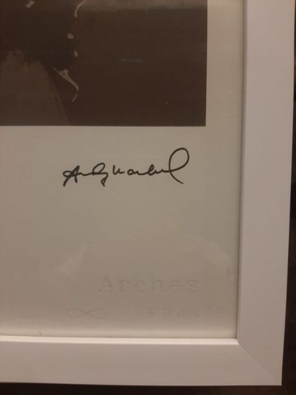 งานศิลปะ, ภาพปริ๊น ของ ศิลปิน Andy Warhol . รูปที่ 9
