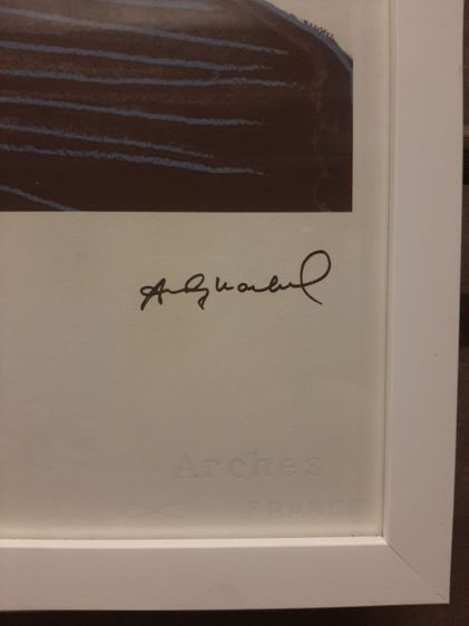 งานศิลปะ, ภาพปริ๊น ของ ศิลปิน Andy Warhol . รูปที่ 7