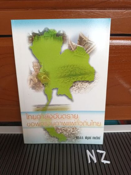 หนังสือ ไทยกำลังอันตราย ขอพลานุภาพแผ่ทั่วแผ่นดินไทย รูปที่ 1