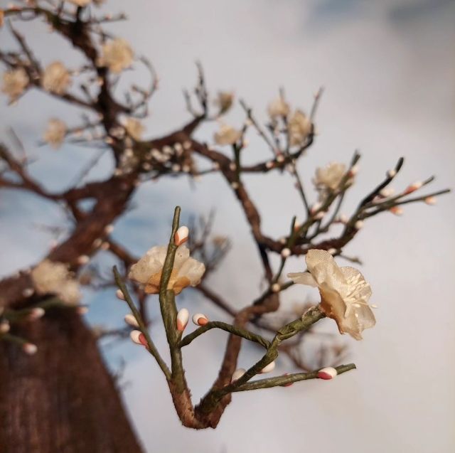 ต้นซากุระ ดอกสีชมพู สวยงาม 
ในรูปแบบ บอนไซ  ปฎิเสธ ไม่ได้ ว่า ซากุระ คือสัญลักษณ์ ของความชาวญี่ปุ่นเชื่อว่าดอกซากุระเป็นที่สถิตของทวยเทพครับ รูปที่ 4