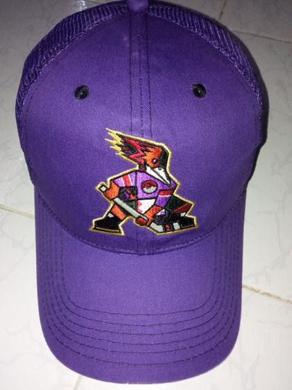 หมวกตะข่ายทีมฮอคกี้ NHL Branson Arizona Coyotes
ทรงสวยสภาพใหม่