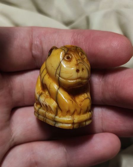 เสือหลวงพ่อปาน คลองด่าน  รูปที่ 4