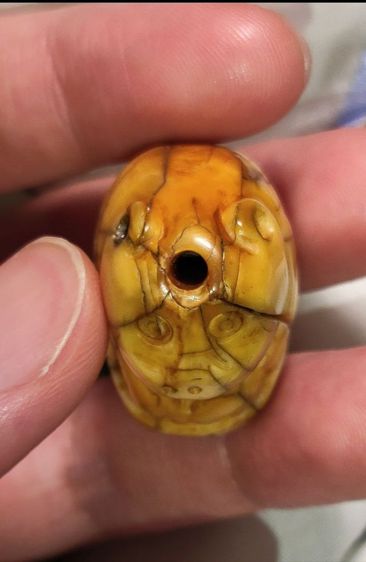 เสือหลวงพ่อปาน คลองด่าน  รูปที่ 5