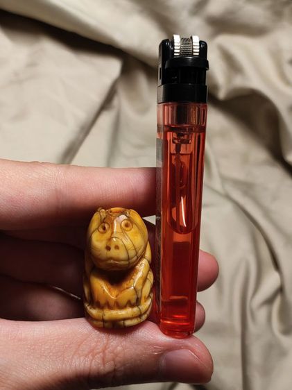 เสือหลวงพ่อปาน คลองด่าน  รูปที่ 8