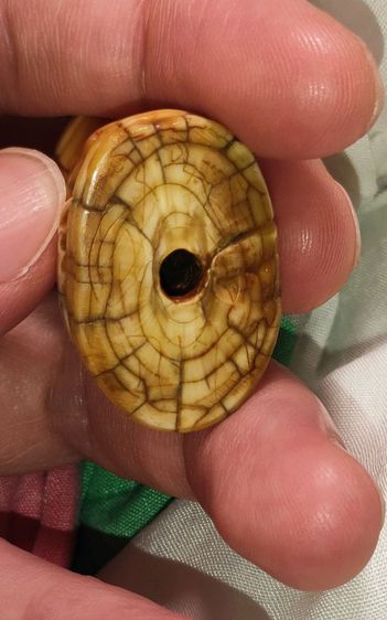 เสือหลวงพ่อปาน คลองด่าน  รูปที่ 7