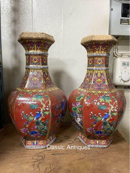 ถ้ำชากังไส ทรงแจกัน ใบใหญ่สะสมA1 รูปที่ 7