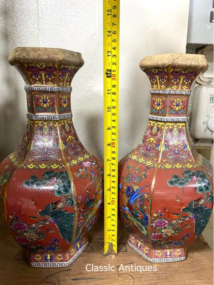 ถ้ำชากังไส ทรงแจกัน ใบใหญ่สะสมA1 รูปที่ 16