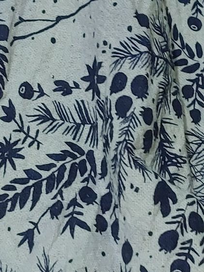 เสื้อคลุมผ้าพื้นเมือง รูปที่ 2