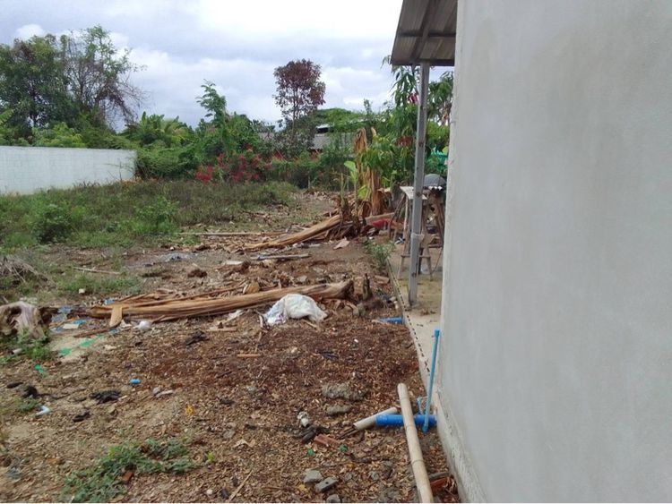 ที่ดินไม่มีสิ่งปลูกสร้าง รูปที่ 4