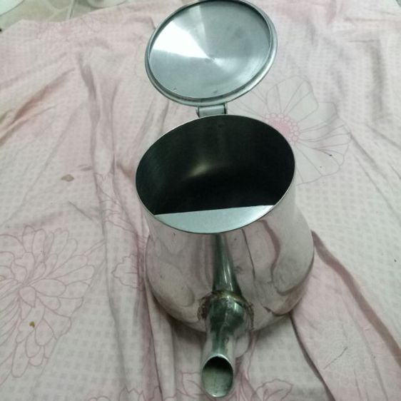 กาเก่า รูปที่ 4