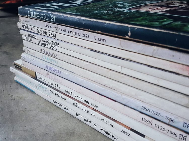 นิตยสารไทย หนังสือ บ้านและสวน, ตกแต่ง 13 เล่ม
