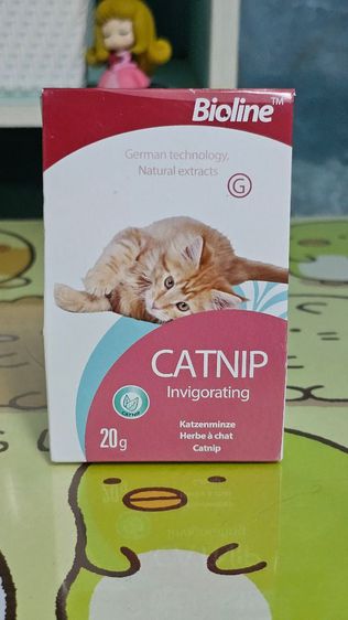 Catnip Herbe 20g for cat