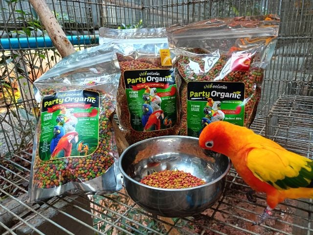 อาหารนก ผลไม้อัดเม็ดอาหารสำหรับนก