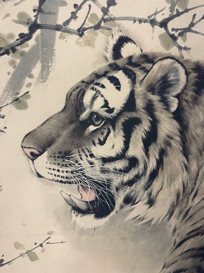 ภาพวาด เสือขึ้นเขา เก่าสะสม รูปที่ 8