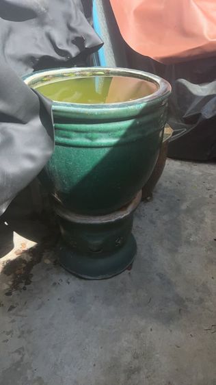 อื่นๆ อ่างบัวโบราณ