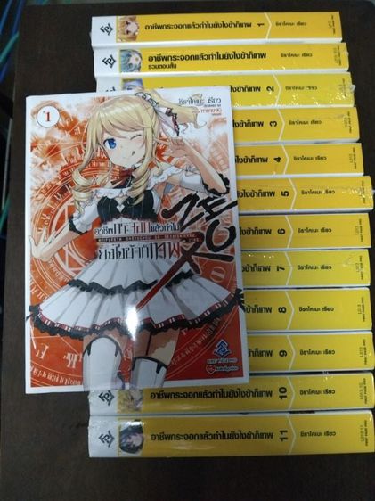 นิยายชุด  นิยาย อาชีพกระจอกแล้วทำไม ยังไงข้าก็เทพเล่ม1-11 และ  เล่ม1 Zero 