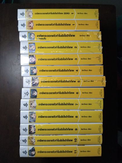  นิยาย อาชีพกระจอกแล้วทำไม ยังไงข้าก็เทพเล่ม1-11 และ  เล่ม1 Zero  รูปที่ 2