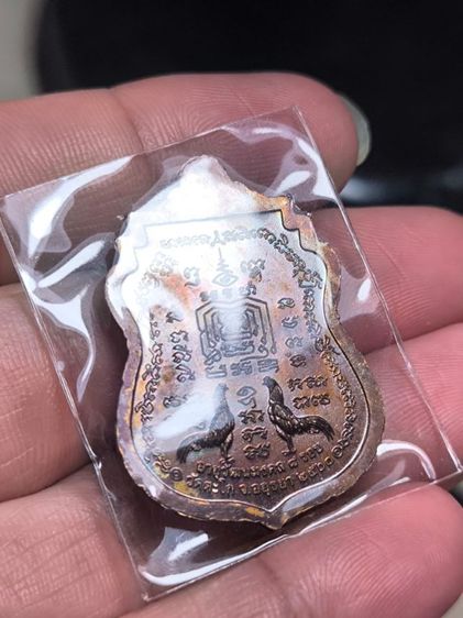 เหรียญหลวงพ่อรวย อายุวัฒนมงคล 8 รอบ วัดตะโก จ. อยุธยา 2560 รูปที่ 5