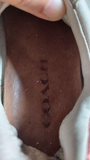 รองเท้าผ้าใบ coach แท้ ไซส์ 36  รูปที่ 3