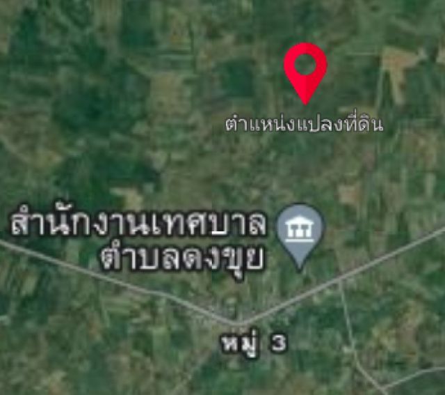 ขายที่ น้ำไม่เคยท่วม แผ่นดินไหวก็ปลอดภัย 5 ไร่ 25 ตารางวา ดงขุย อำเภอชนแดน จังหวัดเพชรบูรณ์ รูปที่ 2