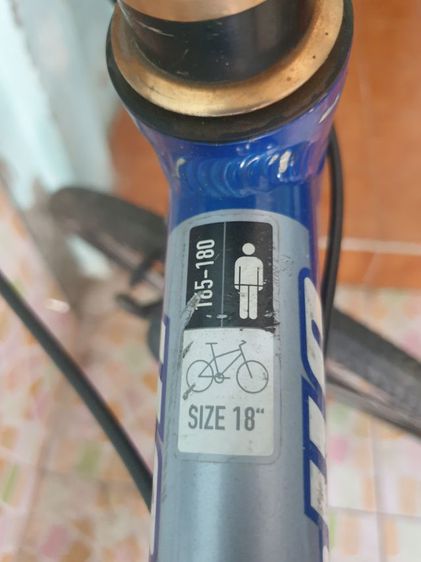 เสือภูเขาWHEELER PRO40 รูปที่ 6