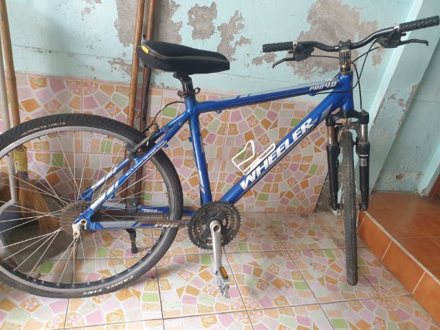 เสือภูเขาWHEELER PRO40