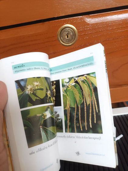 หนังสือ คู่มือเที่ยวชมพรรณไม้สวนหลวง ร.9 รูปที่ 5