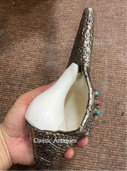 หอยสังข์  เวียนขวาหุ้มกะไหล่เงิน A2 รูปที่ 4