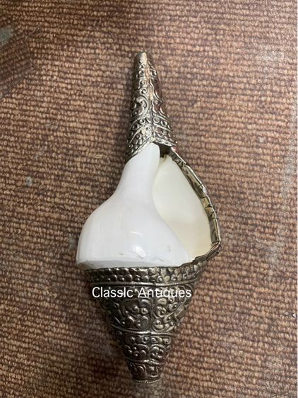 หอยสังข์  เวียนขวาหุ้มกะไหล่เงิน A2 รูปที่ 2