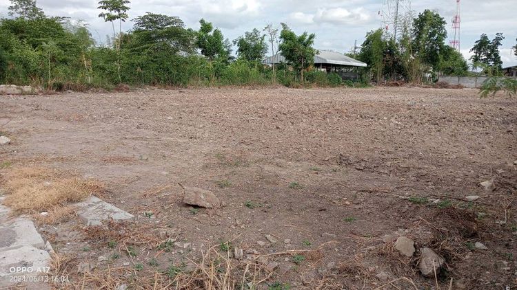 ที่ดิน 401 ตรว. ติดถนนใหญ่ 4 เลน  ในเขตเทศบาลหนองหญ้าไซ จ.สุพรรณบุรี ใกล้ตลาดสด ไปรษณีย์ 7-11 โลตัส เทศบาล ไฟฟ้าประปา ใกล้สวนเฉลิมพระเกียรติ รูปที่ 2