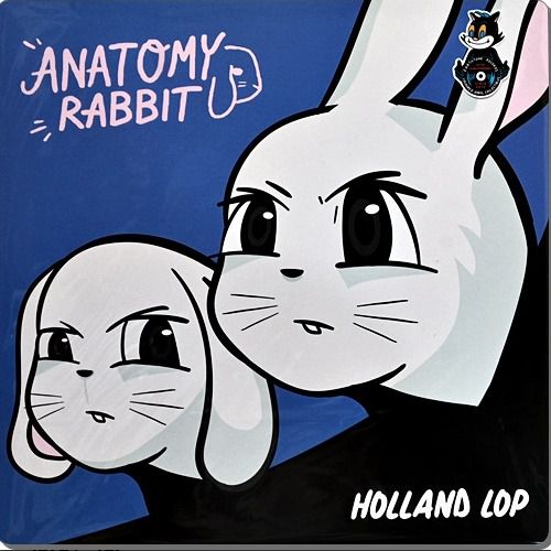 ภาษาอังกฤษ แผ่นเสียง Anatomy Rabbit อัลบั้ม Holland Lop ครบรอบ 10 ปี แผ่นซีล