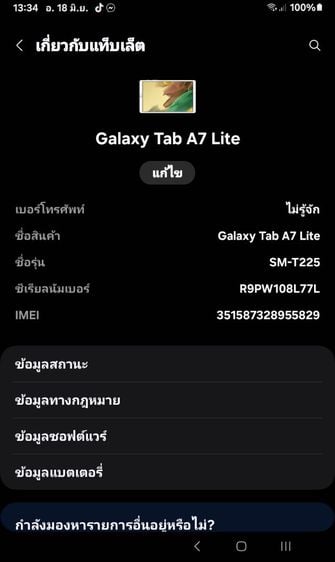 256 GB Samsung Tab A7 Lite 