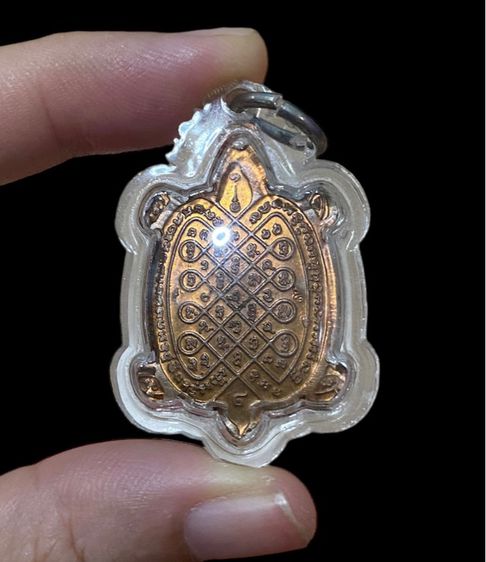 หรียญพญาเต่าเรือนเล็ก หลวงปู่หลิว วัดไร่แตงทอง รุ่นบูรณะพระราชวังสนามจันทร์ ปี๒๕๓๘ รูปที่ 2