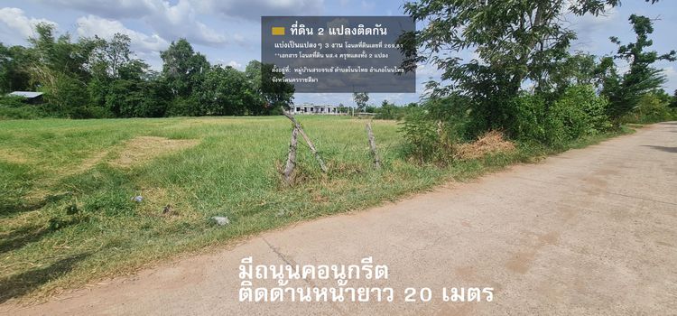 ขายที่ดิน 2 ไร่ 1 งาน 3 ตารางวา (ทั้งหมด 9 งาน) โฉนดติดกันทั้ง 3 แปลง รูปที่ 4