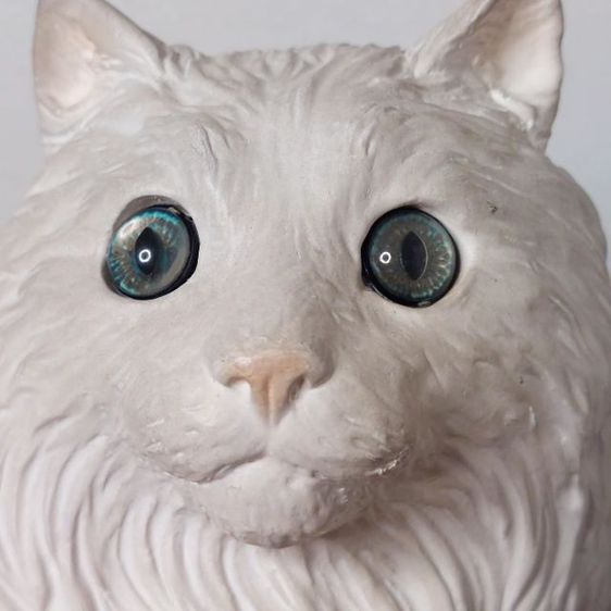 น้องแมว พันธุ์ เปอร์เซีย สีขาว งานมาจากประเทศอิตาลีทั้งคู่ครับ งานสวยมากครับ🇮🇹 รูปที่ 4