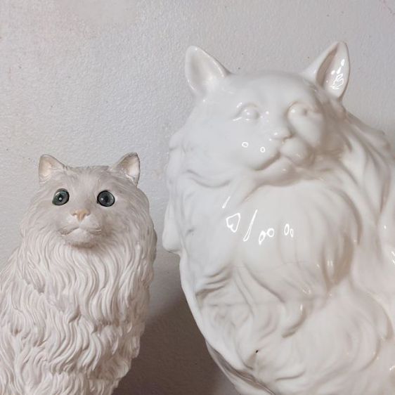 น้องแมว พันธุ์ เปอร์เซีย สีขาว งานมาจากประเทศอิตาลีทั้งคู่ครับ งานสวยมากครับ🇮🇹 รูปที่ 3