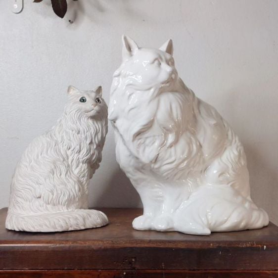 น้องแมว พันธุ์ เปอร์เซีย สีขาว งานมาจากประเทศอิตาลีทั้งคู่ครับ งานสวยมากครับ🇮🇹 รูปที่ 7