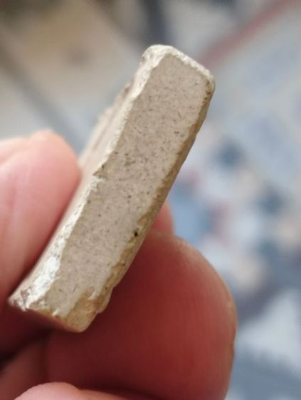 พระผงสมเด็จปรกโพธิ์วัดโพธิ์บางคล้าหลวงพ่อด่วนปลุกเสก รูปที่ 7