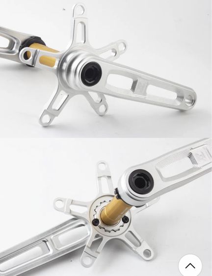 ขาจานพร้อมแกนกระโหลก รูปที่ 7