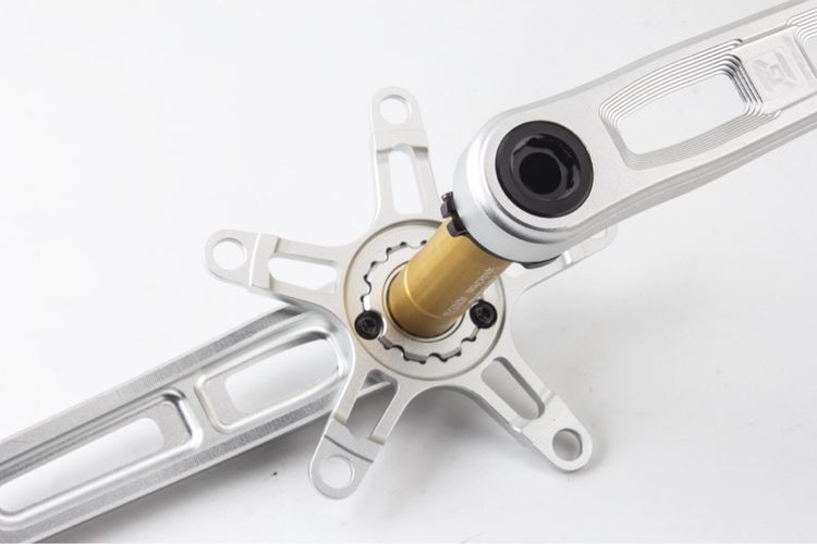 ขาจานพร้อมแกนกระโหลก รูปที่ 4