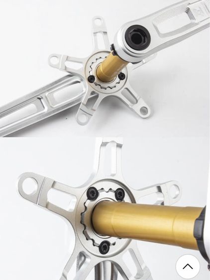 ขาจานพร้อมแกนกระโหลก รูปที่ 5