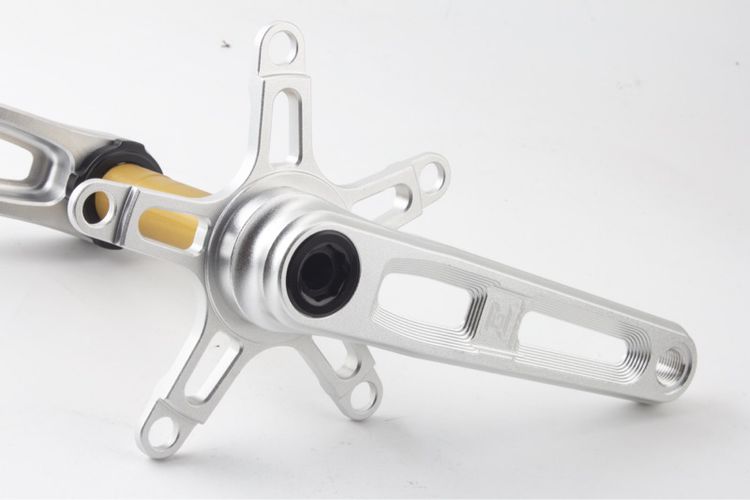 ขาจานพร้อมแกนกระโหลก รูปที่ 3