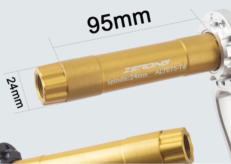 ขาจานพร้อมแกนกระโหลก รูปที่ 2