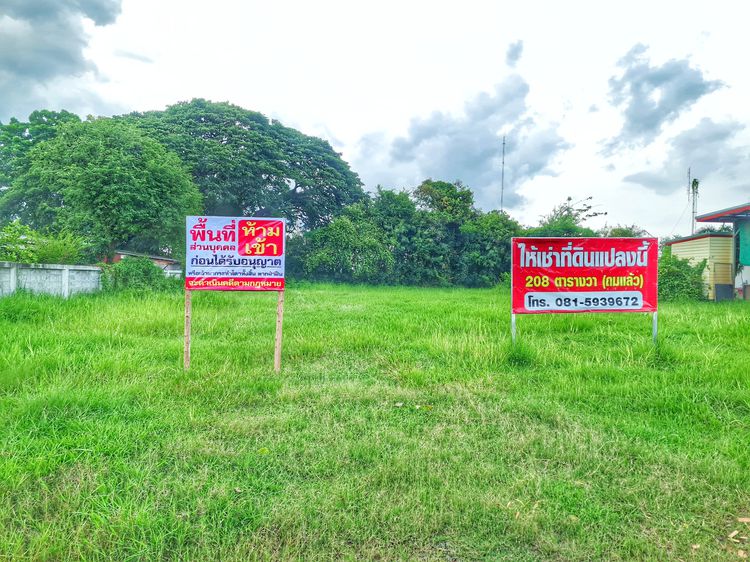 ให้เช่าที่ดินครับ ถมที่ดินแล้ว เจ้าของลงเอง ติดประปากระสัง ติดหลังโรงพยาบาลกระสัง  ใกล้ปั้ม ปตท.กระสัง อ.กระสัง จ.บุรีรัมย์ รูปที่ 2
