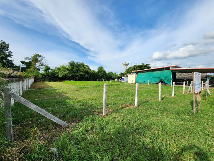 ให้เช่าที่ดินครับ ถมที่ดินแล้ว เจ้าของลงเอง ติดประปากระสัง ติดหลังโรงพยาบาลกระสัง  ใกล้ปั้ม ปตท.กระสัง อ.กระสัง จ.บุรีรัมย์ รูปที่ 4