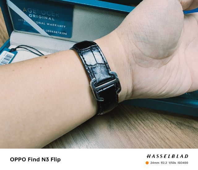 Agelocer Tourbillon รูปที่ 7